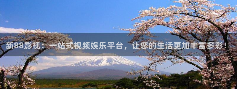樱桃视频免费网站：新88影视：一站式视频娱乐平台，让您的生活更加丰富多彩！