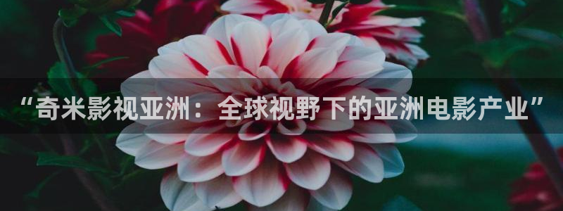 樱桃小视频地址一：“奇米影视亚洲：全球视野下的亚洲电影产业”